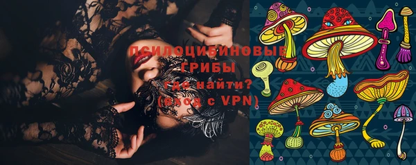 соль ск Балахна