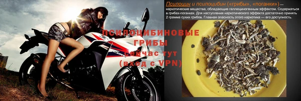 прущие грибы Баксан