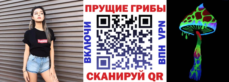 Галлюциногенные грибы MAGIC MUSHROOMS  Купино 