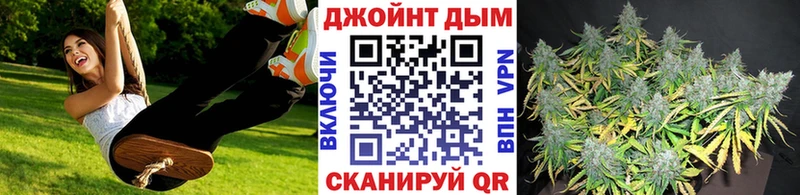 Бошки марихуана AK-47  дарк нет Telegram  Купино 